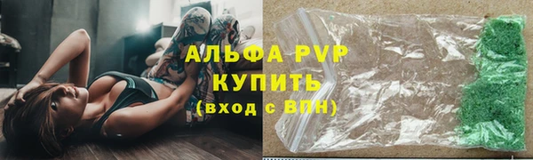 шишки Дмитриев