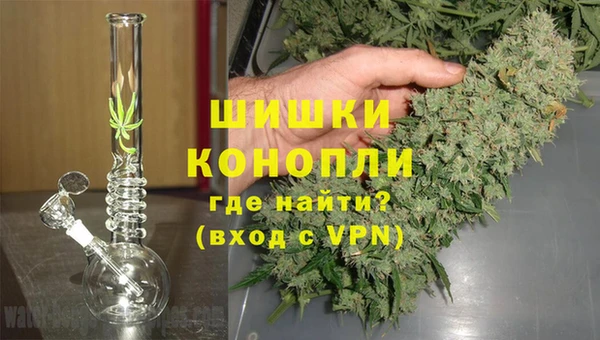 шишки Дмитриев
