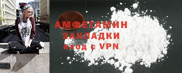 шишки Дмитриев