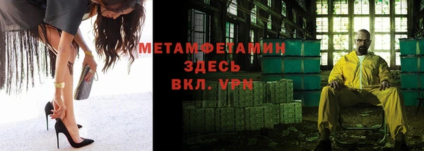 шишки Дмитриев
