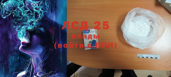 шишки Дмитриев