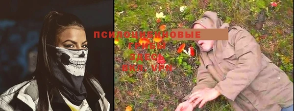 шишки Дмитриев