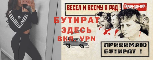 шишки Дмитриев