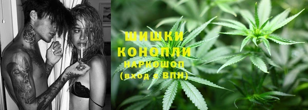 шишки Дмитриев
