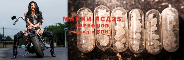 шишки Дмитриев