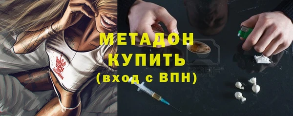 шишки Дмитриев